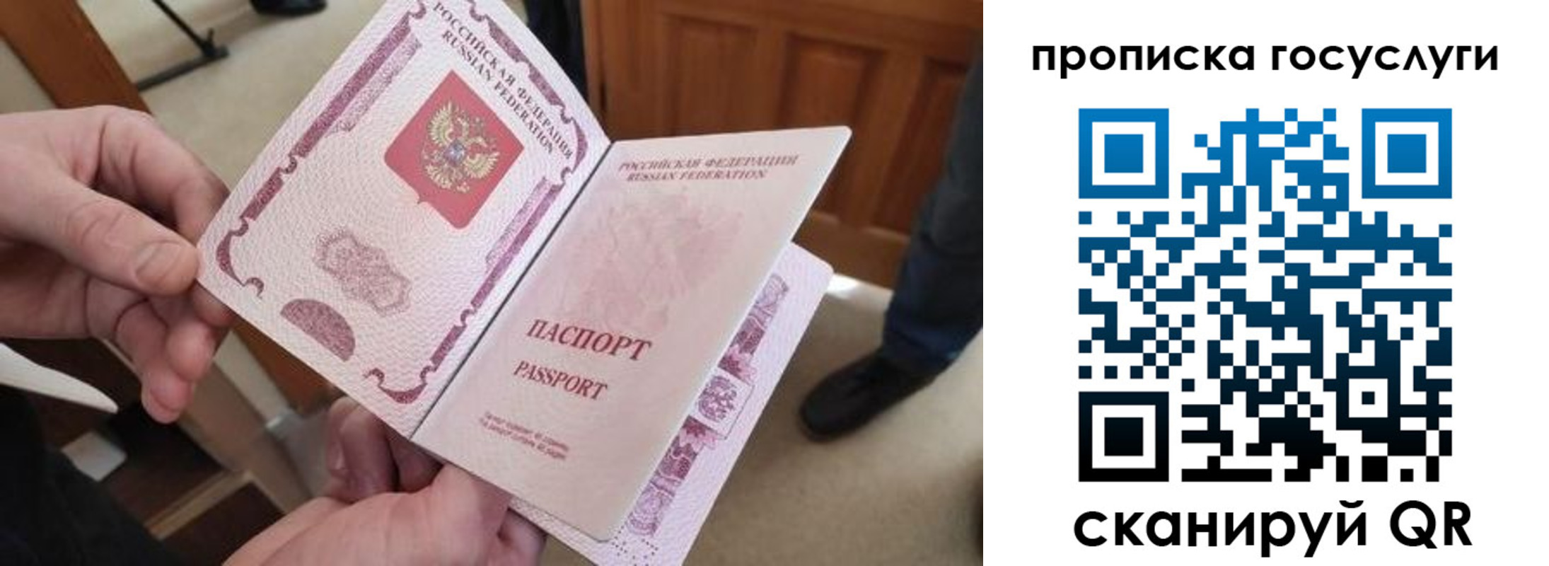 временная регистрация поиск в Димитровграде